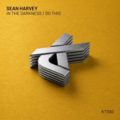 Sean Harvey - In the Darkness / Do This artwork